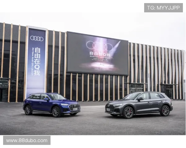 探索Q8 Competition：挑战与机遇并存的竞技盛宴