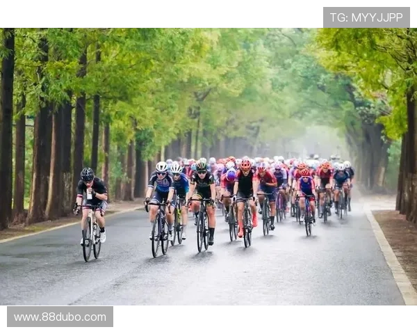 崇明岛自行车比赛：骑行爱好者的盛会与挑战之旅